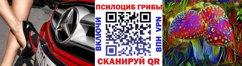 Галлюциногенные грибы Psilocybe  hydra сайт  Красноперекопск 